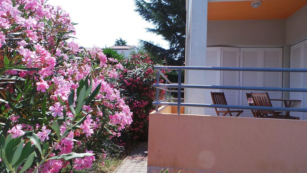 Henc Novigrad (Istria)