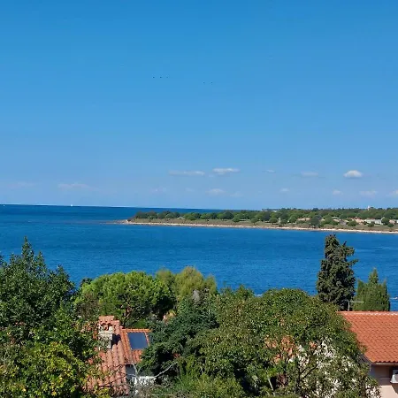 Apartments Henc Novigrad  Exterior photo