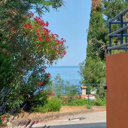 Apartments Henc Novigrad  Exterior photo