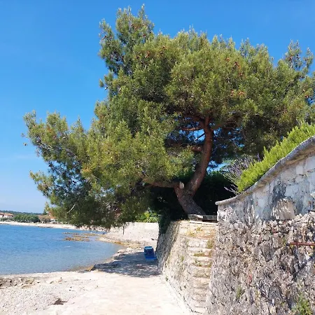 Apartments Henc Novigrad  Exterior photo
