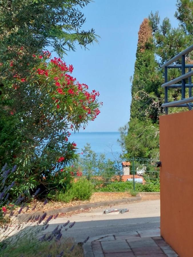 Henc * Novigrad Istria