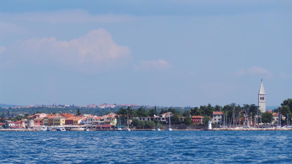 Apartment Henc Novigrad (Istria)