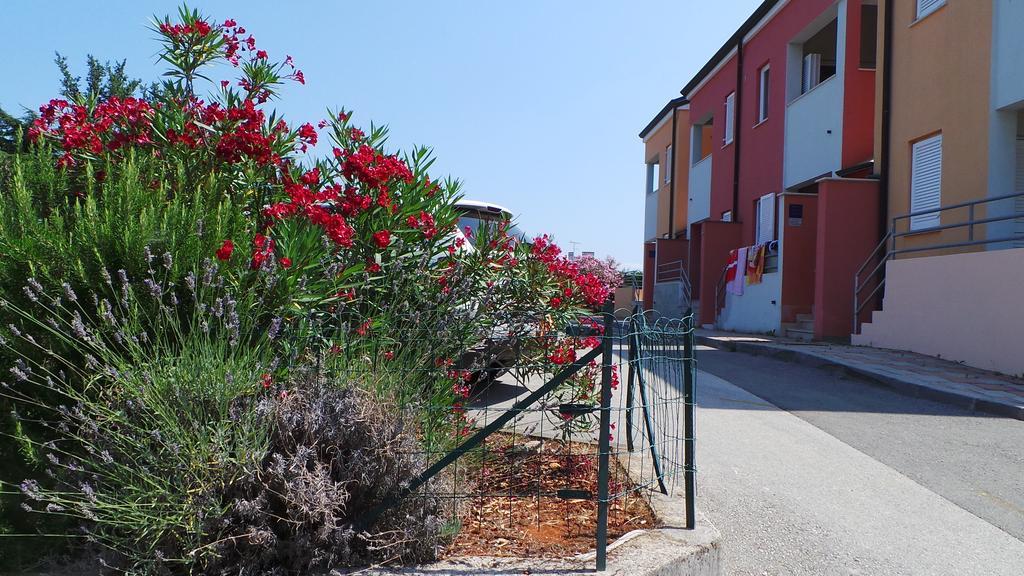 Henc Lägenhet Novigrad Istria