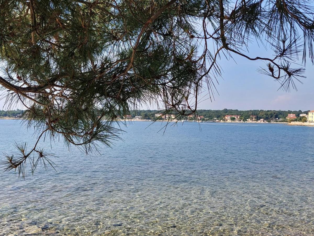 Henc Novigrad Istria
